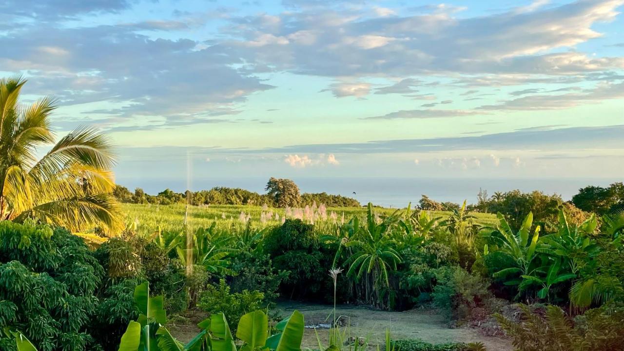 Les Villas De La Ligne Des Bambous Ravine des Cabris Exterior foto