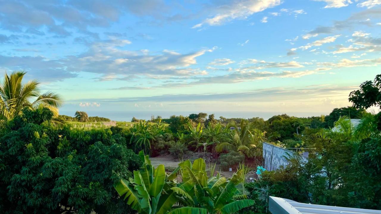 Les Villas De La Ligne Des Bambous Ravine des Cabris Exterior foto